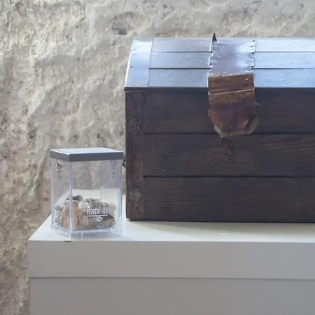 Stelina Korcula Town