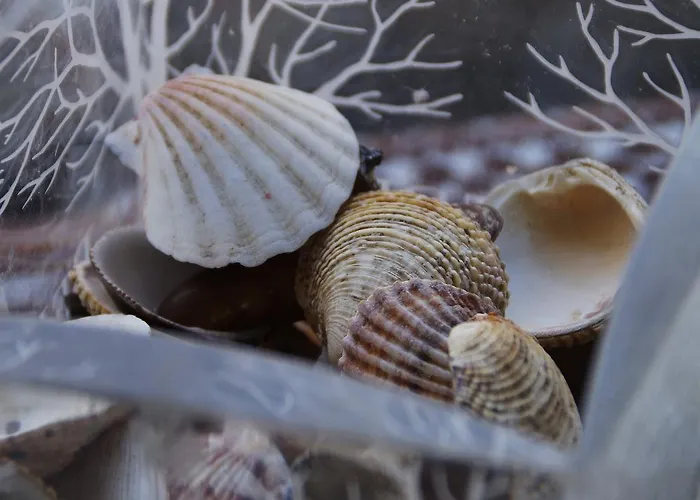 Apartamento Stelina Korčula