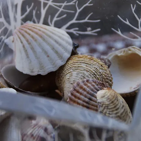 شقة Stelina كورتْشولا